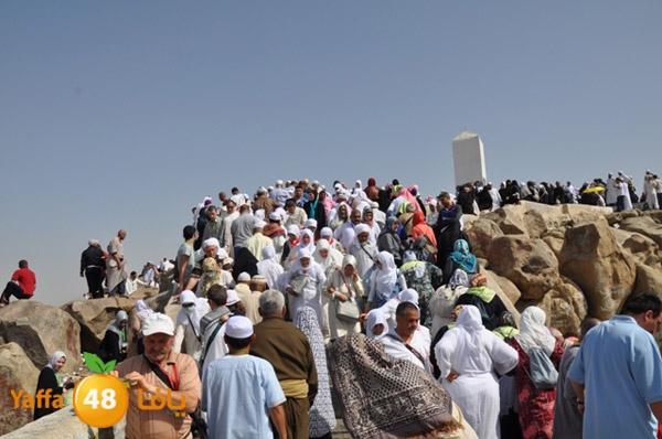 3omranewyaffa326 (41).JPG